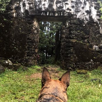 The Kaniakapupu Ruins - Access Restricted - Landmarks & Historical Buildings Near Me - Honolulu, Hawaii