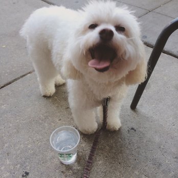 Starbucks - Grande water, hold the ice - Coffee & Tea Near Me - Cleveland, Ohio Starbucks - Grande water, hold the ice - Coffee & Tea Near Me - Cleveland, Ohio