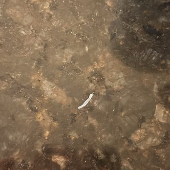 Pokeworks - Piece of plastic in my food - Salad Near Me - Omaha, Nebraska Pokeworks - Piece of plastic in my food - Salad Near Me - Omaha, Nebraska
