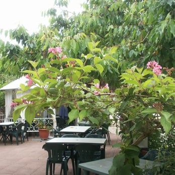 Hostellerie Blanche de Castille - Hotels Near Me - Bléneau, 89