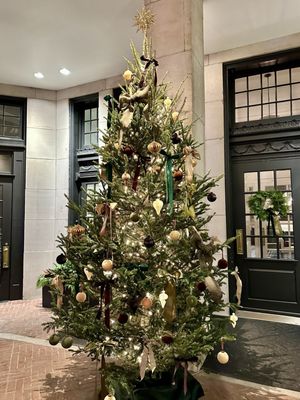 The Touraine by null