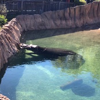 Zoo Gage Park - Hippo! - Zoos Near Me - Topeka, Kansas Zoo Gage Park - Hippo! - Zoos Near Me - Topeka, Kansas