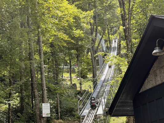 Wilderness Run Alpine Coaster by null