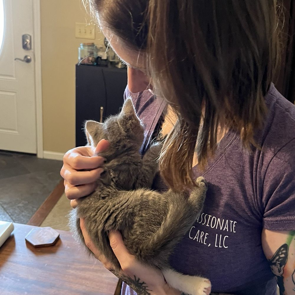 Compassionate Cat Care - Ashleigh and kitten - Pet Boarding Near Me