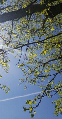 James River State Park by null