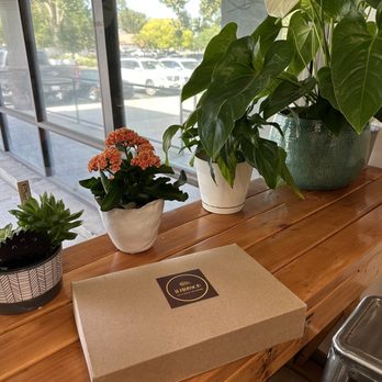 Le Hérisson - Beautiful ambiance! - Cafes Near Me - Simi Valley, California Le Hérisson - Beautiful ambiance! - Cafes Near Me - Simi Valley, California