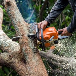 Revealed Landscaping