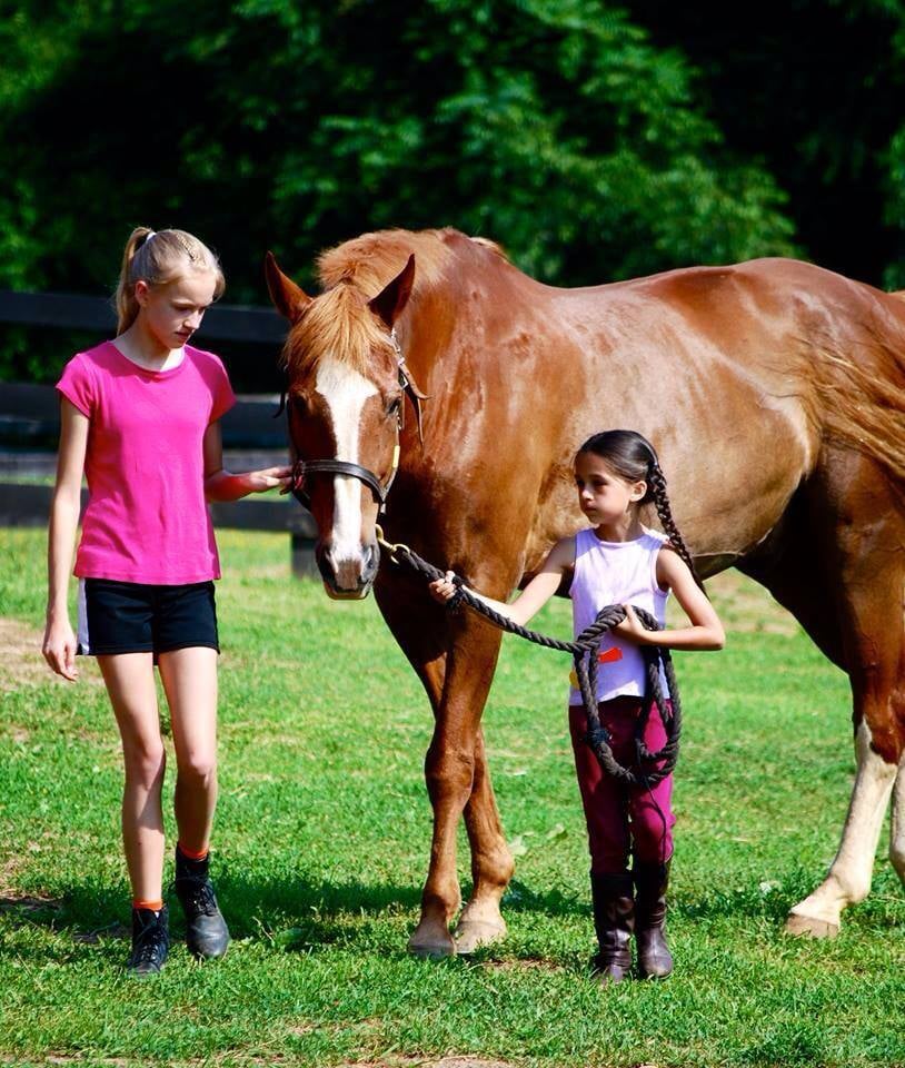 TWIN OAKS RIDING ACADEMY Updated August 2024 14 Reviews 40788 Red