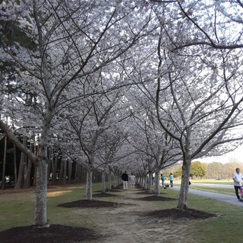 Red Wing Park - Dog Parks Near Me - Virginia Beach, Virginia
