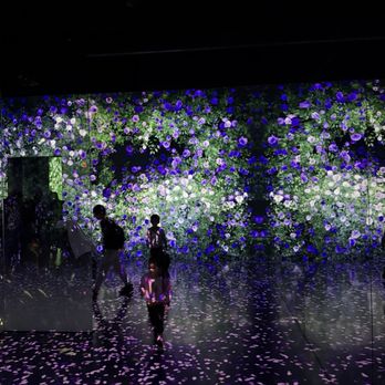 Arte Museum - Art Museums Near Me - New York, New York