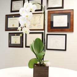 425 Oral, Maxillofacial, and Implant Surgery - Diploma/Certification