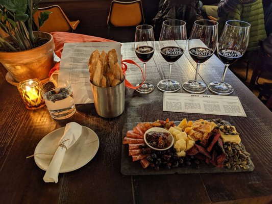 Living Roots Rochester by null