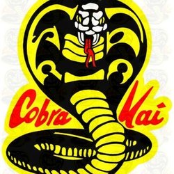 Two Rivers Martial Arts - COBRA KAI KARATE