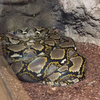 Branson Wild World - Aquariums Near Me - Branson, Missouri Branson Wild World - Aquariums Near Me - Branson, Missouri