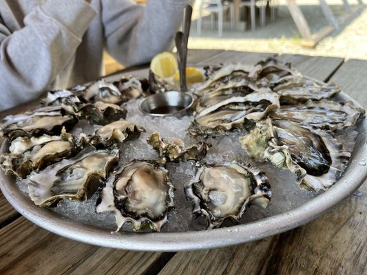 Hama Hama Oyster Saloon by null Hama Hama Oyster Saloon by null