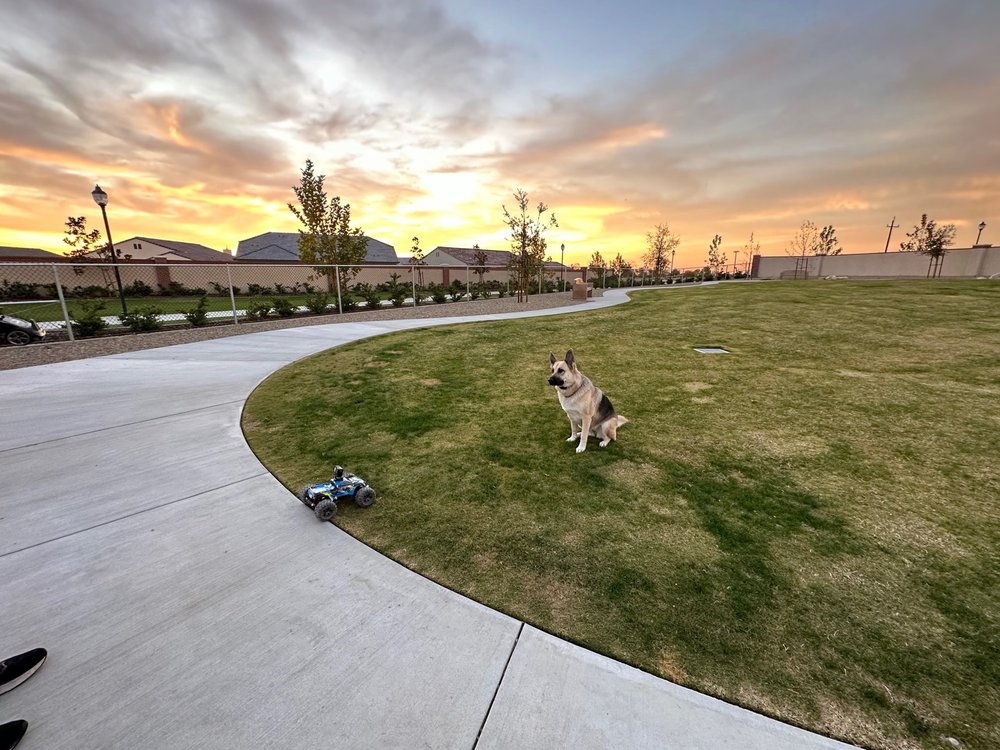 HIGHGATE DOG PARK Updated September 2024 14606 Coyle Cir