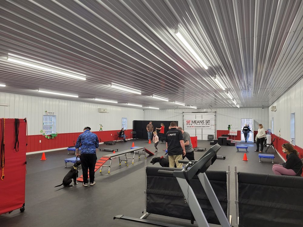 SIT MEANS SIT DOG TRAINING TOWSON Updated September 2024 10