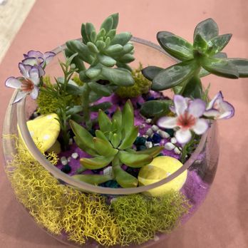 PlantHouse - Nurseries & Gardening Near Me - Alexandria, Virginia