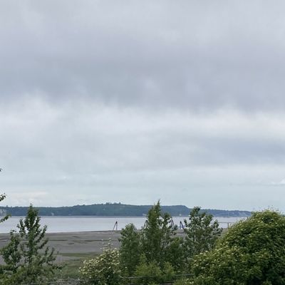 Tony Knowles Coastal Trail by null
