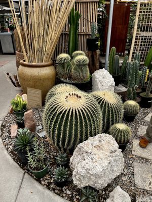 Cactus & Tropicals, 2735 S 2000 E, Salt Lake City, UT 84109
