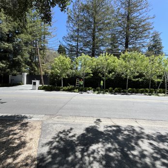 Arborco Tree Care - Thinning and shaping the trees to provide more sunlight to the plants under. - Tree Services Near Me - San Mateo, California Arborco Tree Care - Thinning and shaping the trees to provide more sunlight to the plants under. - Tree Services Near Me - San Mateo, California