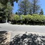 Photo of Arborco Tree Care