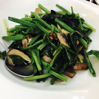 Szechuan Gourmet - vegetable - Chinese Near Me - México, D.F., DIF Szechuan Gourmet - vegetable - Chinese Near Me - México, D.F., DIF