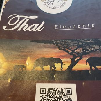 Thai Elephants - menu - Thai Near Me - Watkins Glen, New York