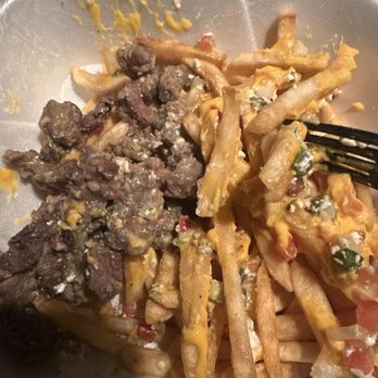Zero Degrees - carne asada fries - Bubble Tea Near Me - Orlando, Florida