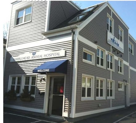 Marblehead Animal Hospital 19 Atlantic Ave Marblehead Ma Unknown Mapquest