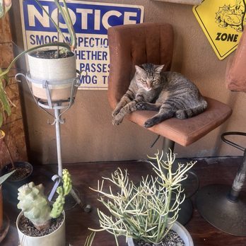 Smog World - MaidenThe shopCat - Smog Check Stations Near Me - Monterey Park, California Smog World - MaidenThe shopCat - Smog Check Stations Near Me - Monterey Park, California