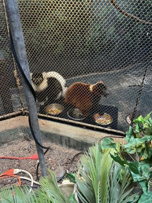 Museum of Arts and Sciences by null