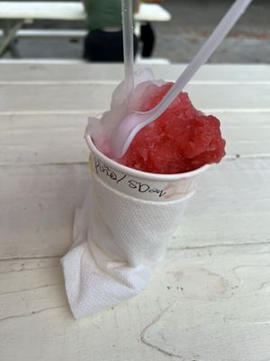 Imperial Woodpecker Sno-Balls by null