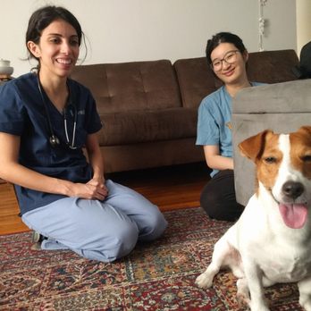 Vetted - Orange County - Veterinarians Near Me Vetted - Orange County - Veterinarians Near Me