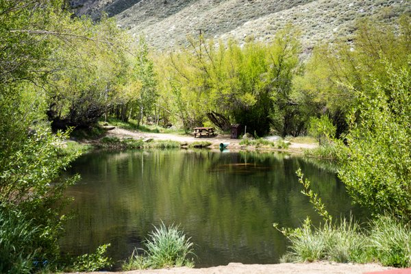 Creekside RV Park is OPEN - Creekside RV Park is OPEN
After a historic winter we have had warm weeks and the snow has melted QUICK! We have full hookup RV sites available as well as tent sites on the creek. Book today to lock in your unforgettable camping trip to Creekside!