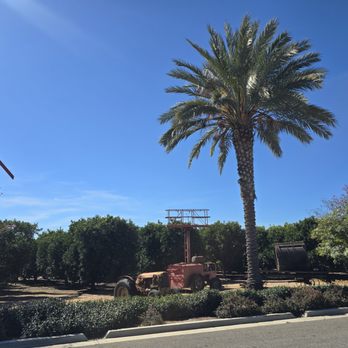 Gless Ranch - Gless Ranch, Riverside CA - Farmers Market Near Me - Riverside, California