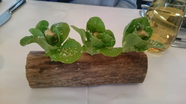 Restaurant Botanic by null