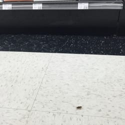 Sally Beauty - Roach on the floor!!!