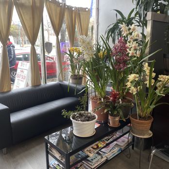 Hi Beauty Salon - Hair Salons Near Me - Alameda, California Hi Beauty Salon - Hair Salons Near Me - Alameda, California