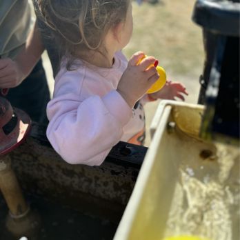 Jonamac Orchard - Rubber duck, water racing. So cute! - Fruits & Veggies Near Me - Malta, Illinois