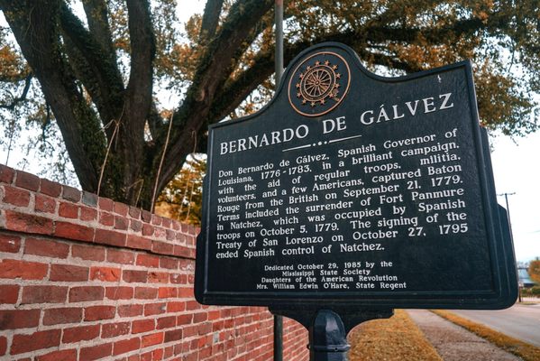 Rosalie Mansion and Gardens by null