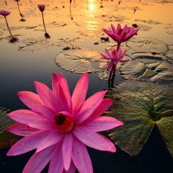 Holistic Healing Massage