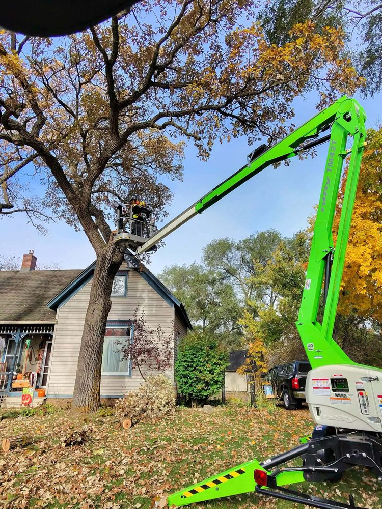 Allbark Tree Service - tree service in Milwaukee, WI