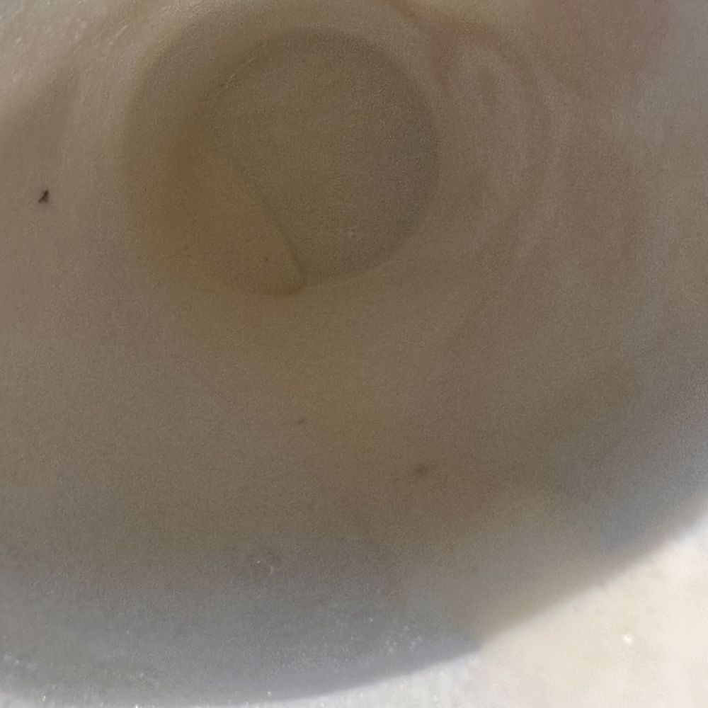 Chick-fil-A - Dark bug particles inside vanilla shake - Fast Food Near Me - Burnsville, Minnesota Chick-fil-A - Dark bug particles inside vanilla shake - Fast Food Near Me - Burnsville, Minnesota