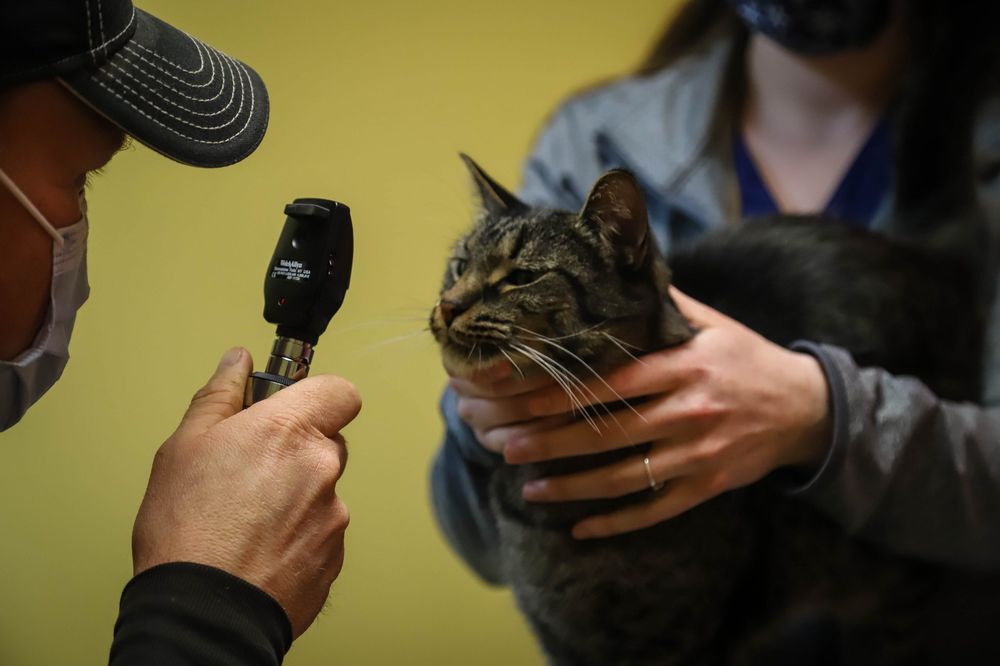 SUNRISE VETERINARY SERVICES Updated October 2024 448 S Albert Ave