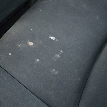 Team Banales - Back Seat After Cleaning - Auto Detailing Near Me