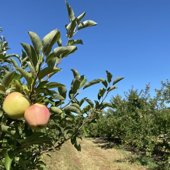 Wilklow Orchards - Fruits & Veggies Near Me - Highland, New York