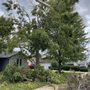 Photo of L P Tree Service
