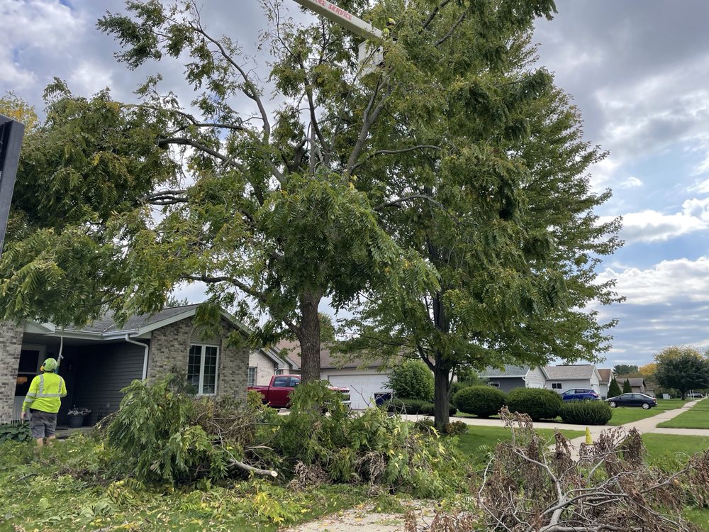 L P TREE SERVICE Updated October 2024 12 Photos & 12 Reviews 1134