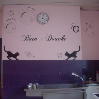 Toilettage Calins - Beauty & Spas Near Me - Lomme, 59 Toilettage Calins - Beauty & Spas Near Me - Lomme, 59